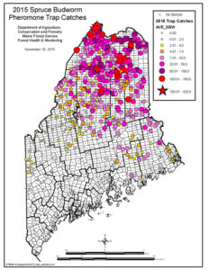 2015 Map of pheromone trap catches