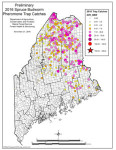 2016 Map of pheromone trap catches