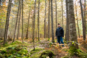 Dr. Robert Wagner standing among fir trees in the University of Maine forest.