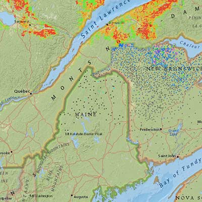 Interactive Outbreak Map