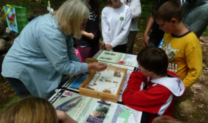 Photo of Project Learning Tree participants doing a tree ID exercise