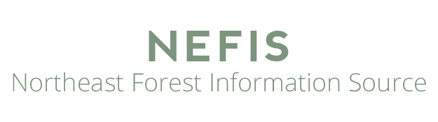 logo for the northeast forest information source