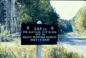 Photo of GNP sign about salvage cut in 1976