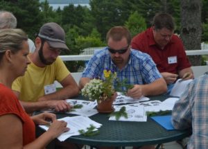 Photo of teachers investigating the differences between spruce & fir and looking for subtle characateristics of needle attachments.