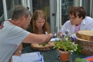 Photo of teachers investigating what tree rings tell us about history.