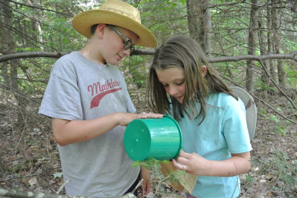 Photo of 2 children checking a spruce budworm trap.