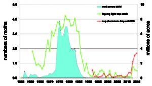 Graph depicting SBW moth catches from 1955-2015.