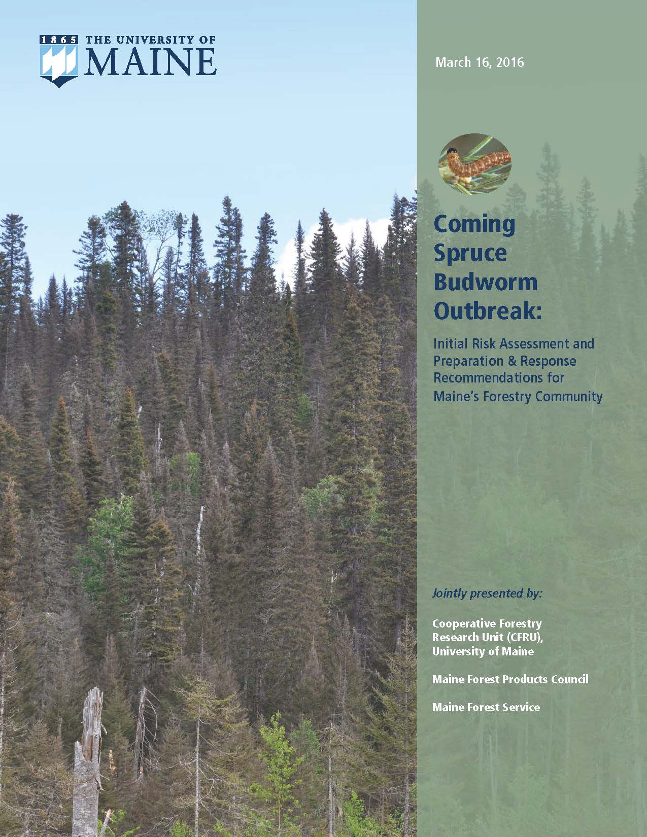 Cover of the Maine Spruce Budworm Task Force Final Report
