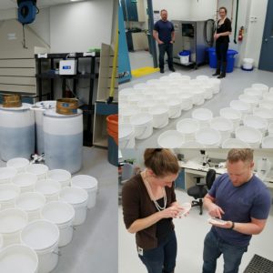 Photos of the spruce budworm L2 analysis process featuring Rob Johns and Emily Owens of the Canadian Forest Service.