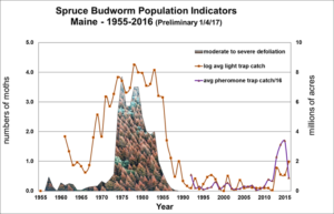 Graph of the spruce budworm population indicators from the Maine Forest Service
