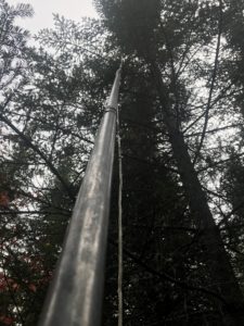 Picture of a pruning pole being used to collect branches for L2 analysis.