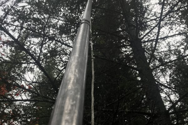 Picture of a pruning pole being used to collect branches for L2 analysis.