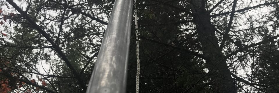 Picture of a pruning pole being used to collect branches for L2 analysis.