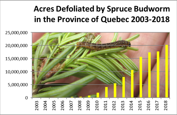 Graph of acres defoliated by SBW in Province of Quebec, 2003-2018