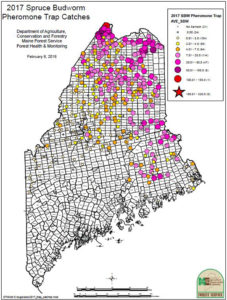 2017 Map of Pheromone Trap Captures