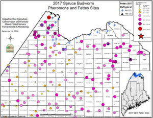 Map of 2017 pheromone and fettes sites