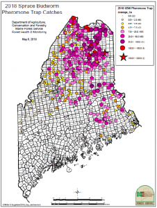 Map of 2018 of spruce budworm pheromone trap catches in Maine