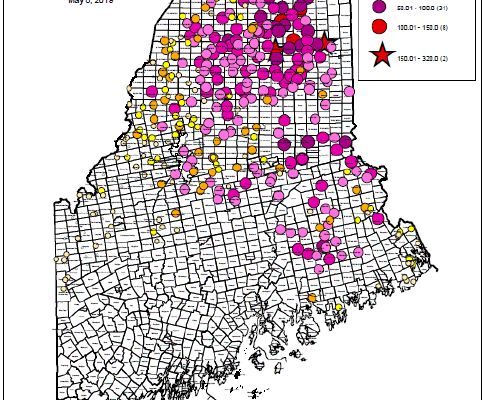 Map of 2018 of spruce budworm pheromone trap catches in Maine