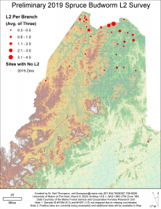 map depicting preliminary 2019 spruce budworm L2 survey results