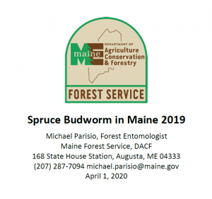 cover page Maine Forest Service 2019 spruce budworm report