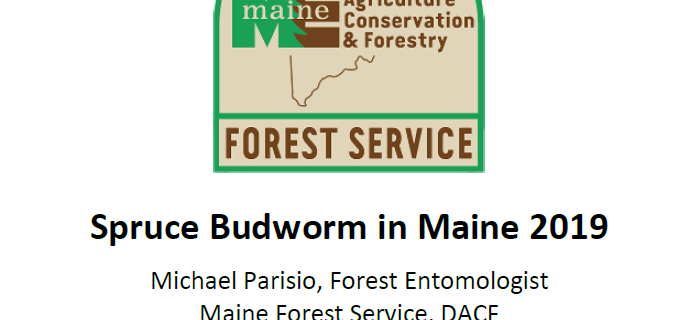 cover page Maine Forest Service 2019 spruce budworm report