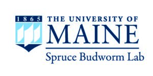 spruce budworm lab logo