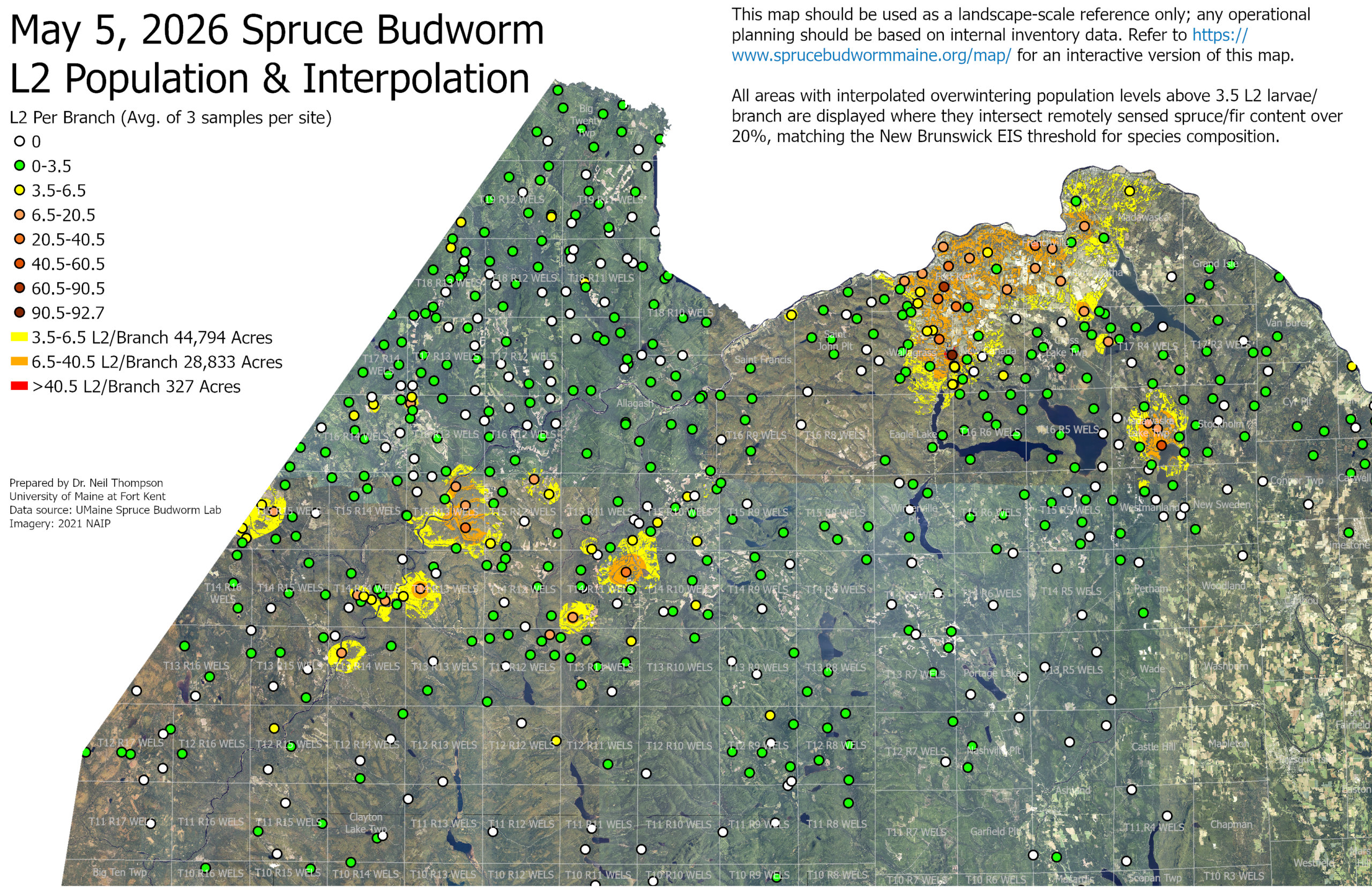 Map of norther Maine showing the modeled spruce budworm populations from May 5th of 2026